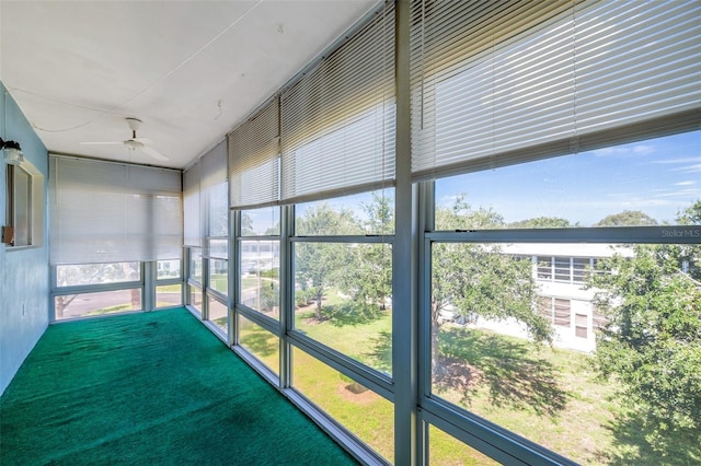 8396 111th St Unit 301, Seminole, FL 33772 - unfurnished sunroom featuring a ceiling fan