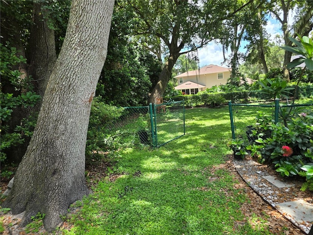 909 Heatherbrook Dr, Auburndale, FL 33823 - view of yard featuring a gate