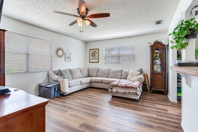 5206 Cindy Kay Dr, Plant City, FL 33566 - photo 13