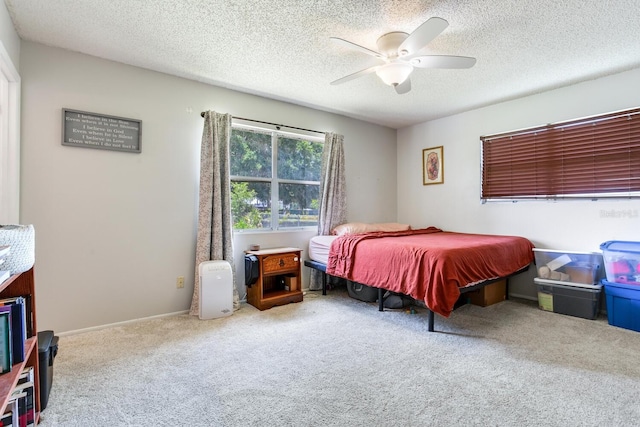 5206 Cindy Kay Dr, Plant City, FL 33566 - photo 18