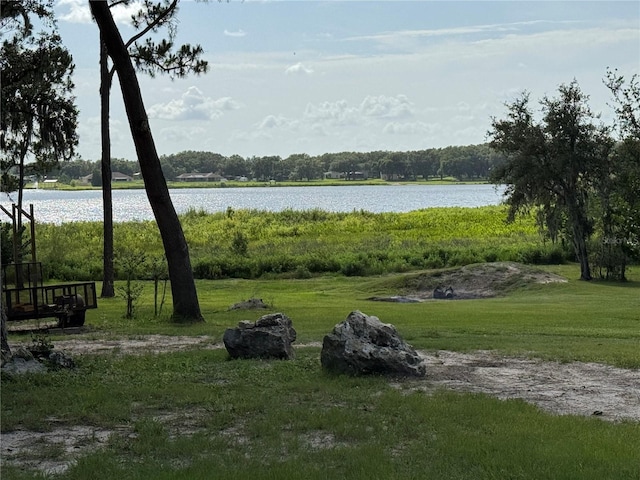 30400 Hillside Ln, Wesley Chapel, FL 33545 - photo 8