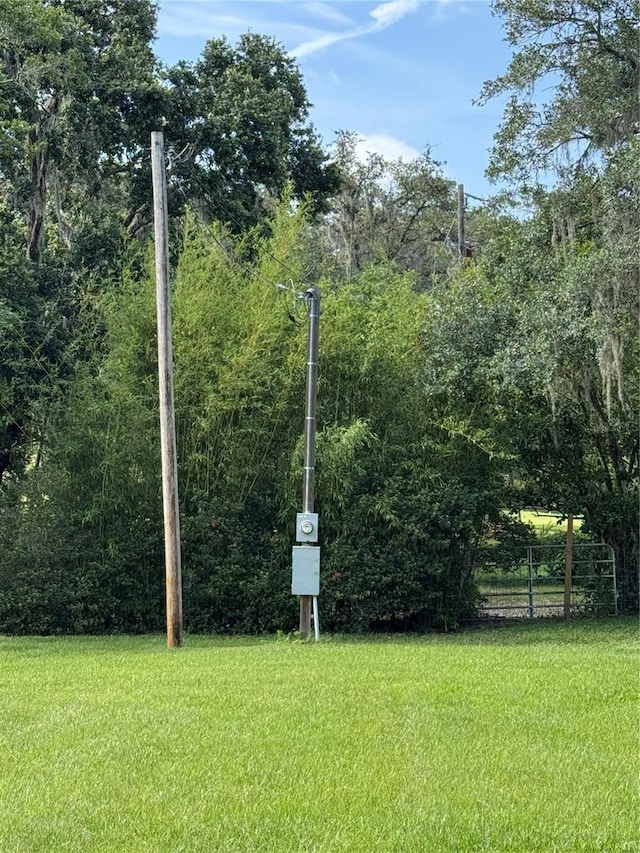 30400 Hillside Ln, Wesley Chapel, FL 33545 - photo 10