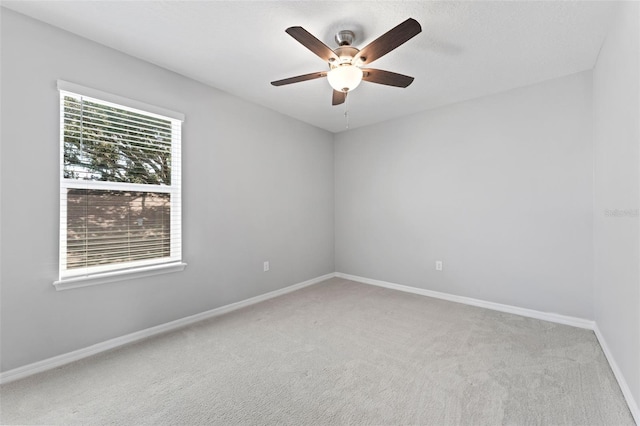 8050 Praise Dr, Tampa, FL 33625 - empty room featuring carpet flooring and a ceiling fan