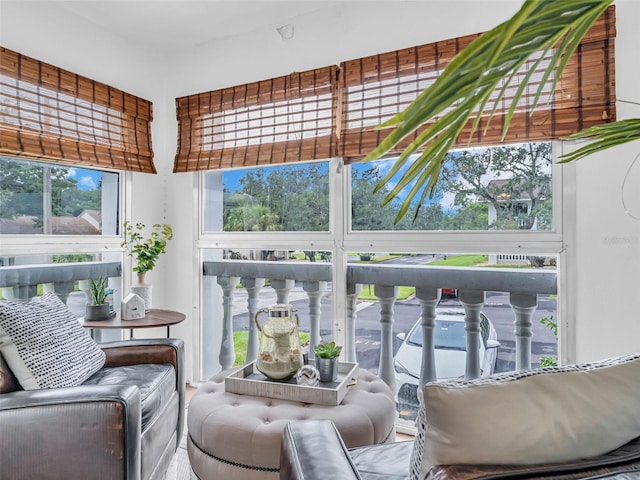 1250 S Pinellas Ave Unit 207, Tarpon Springs, FL 34689 - view of sunroom / solarium