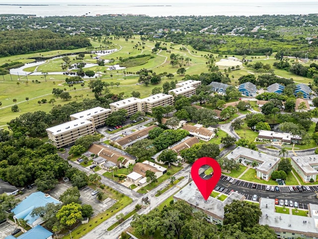 1250 S Pinellas Ave Unit 207, Tarpon Springs, FL 34689 - drone / aerial view of a nearby body of water