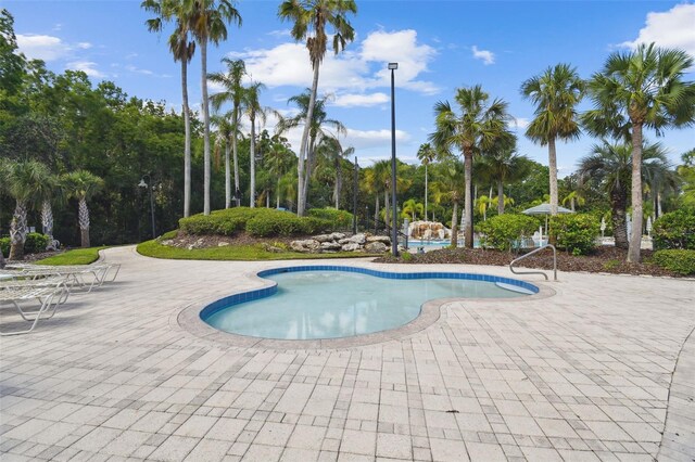 11002 Sundrift Dr, Tampa, FL 33647 - photo 75