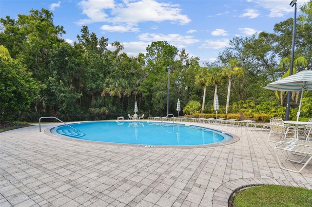 11002 Sundrift Dr, Tampa, FL 33647 - photo 79