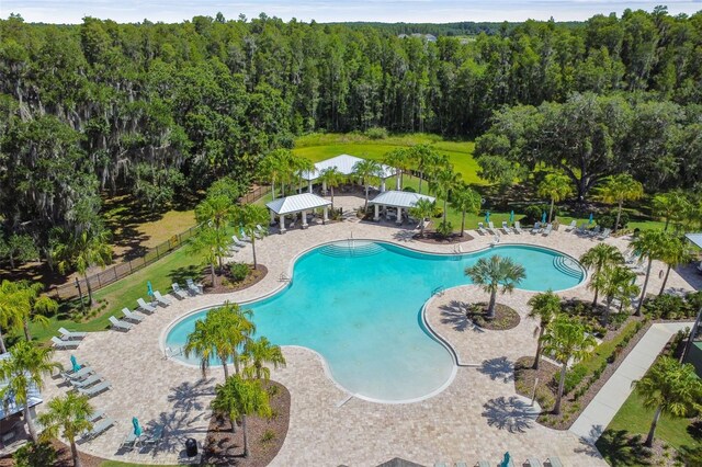 11002 Sundrift Dr, Tampa, FL 33647 - photo 90