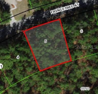 37 Fringetree St, Homosassa, FL 34446