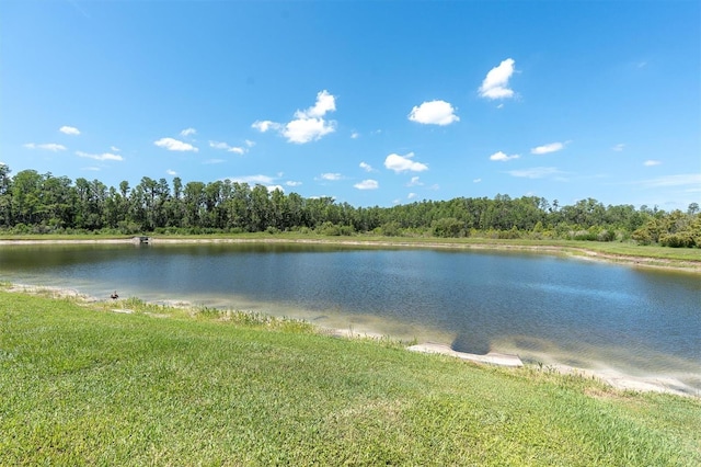 3477 Barbour Trl, Odessa, FL 33556 - photo 54