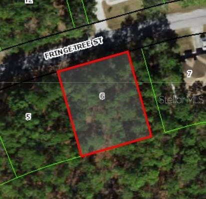 39 Fringetree St, Homosassa, FL 34446