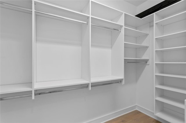 503 W Davis Blvd, Tampa, FL 33606 - walk in closet featuring dark wood-style flooring