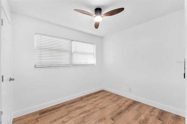 4731 W Leila Ave, Tampa, FL 33616 - photo 6