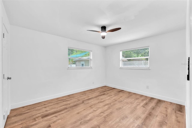 4731 W Leila Ave, Tampa, FL 33616 - photo 8