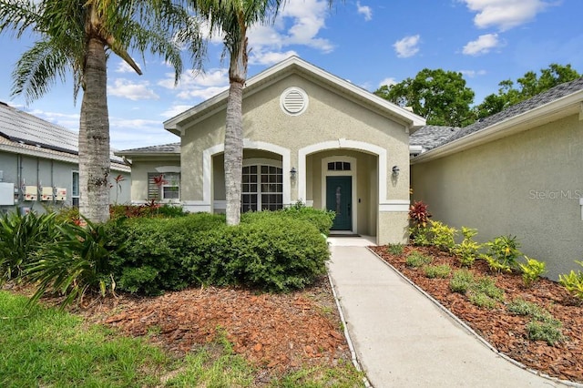 15217 Octavia Ln, Odessa, FL 33556 - property entrance with stucco siding