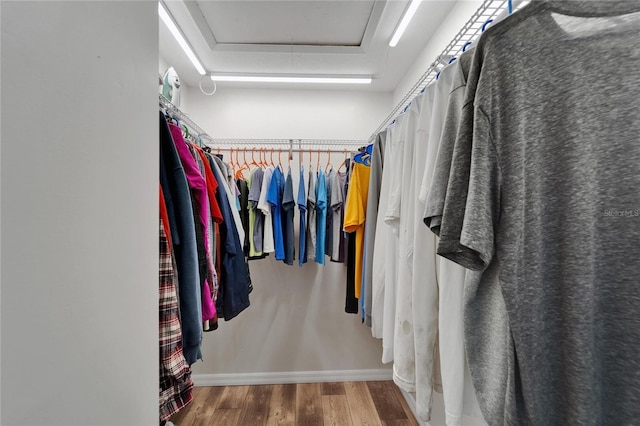 6334 Cocoa Ln, Apollo Beach, FL 33572 - spacious closet featuring wood finished floors