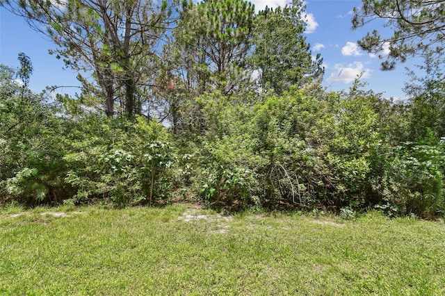26835 Juniper Bay Dr, Wesley Chapel, FL 33544 - photo 14
