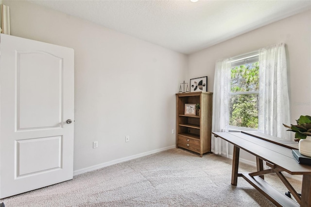 26835 Juniper Bay Dr, Wesley Chapel, FL 33544 - photo 40