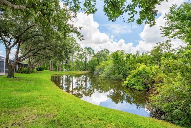 6044 Sandhill Ridge Dr, Lithia, FL 33547 - water view