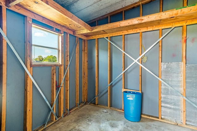 8443 Fantasia Park Way, Riverview, FL 33578 - view of basement