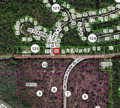 6797 W Oak Park Ln, Homosassa, FL 34446 - photo 2