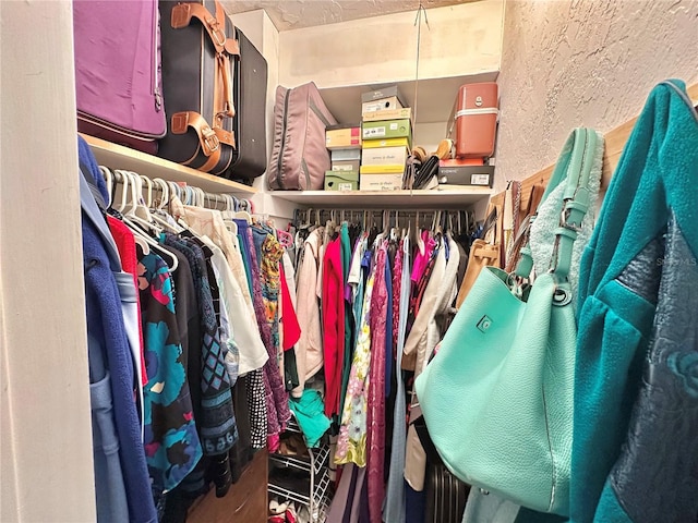 1605 Logan St, Clearwater, FL 33755 - view of spacious closet