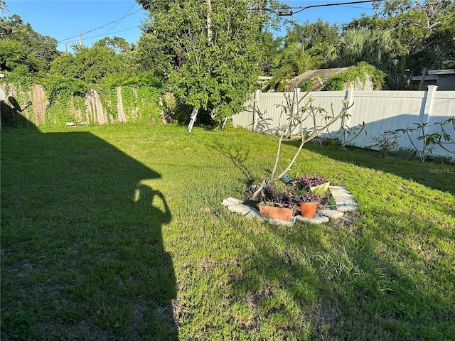 1605 Logan St, Clearwater, FL 33755 - view of fenced backyard