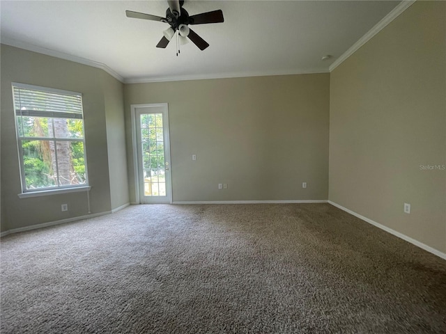 405 Islebay Dr, Apollo Beach, FL 33572 - empty room featuring crown molding, a ceiling fan, and carpet flooring