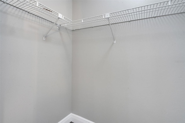 2151 Groveglen Ln S, Lakeland, FL 33813 - view of spacious closet