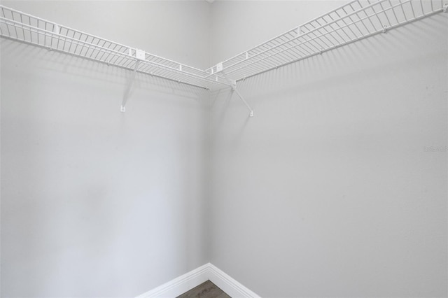 2151 Groveglen Ln S, Lakeland, FL 33813 - spacious closet featuring wood finished floors