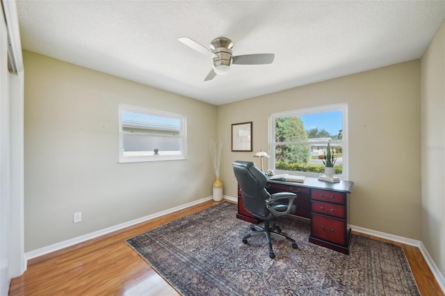 2110 W View Dr, Sun City Center, FL 33573 - office space with plenty of natural light, wood finished floors, and a ceiling fan