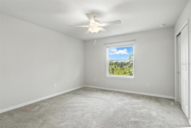 5110 Sylvester Loop, Tampa, FL 33610 - photo 15