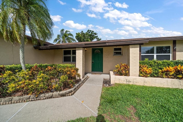 6530 68th St N, Pinellas Park, FL 33781 - view of front of property with stucco siding, brick siding, and a front lawn