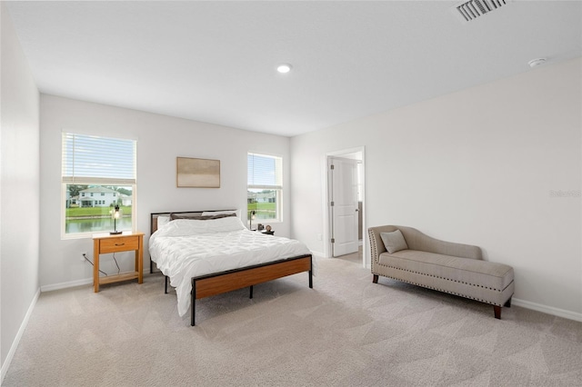 33675 Elm Hill Br, Wesley Chapel, FL 33545 - bedroom with light colored carpet