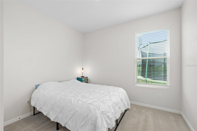33675 Elm Hill Br, Wesley Chapel, FL 33545 - carpeted bedroom with baseboards