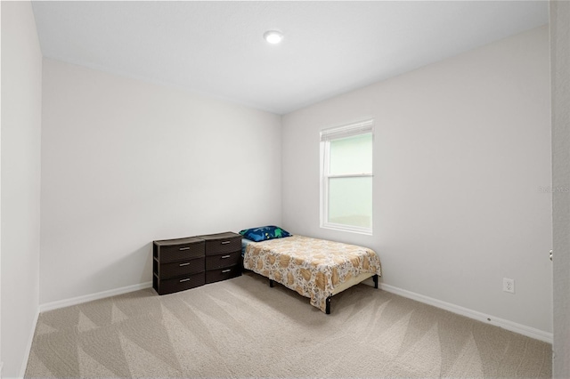 33675 Elm Hill Br, Wesley Chapel, FL 33545 - bedroom featuring light colored carpet
