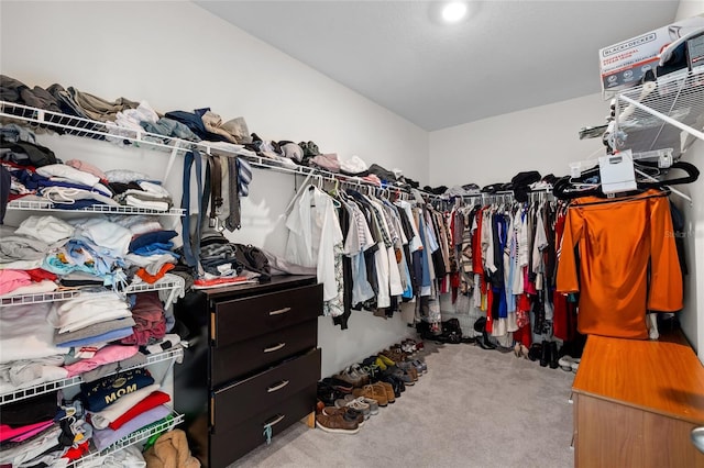 33675 Elm Hill Br, Wesley Chapel, FL 33545 - walk in closet with carpet