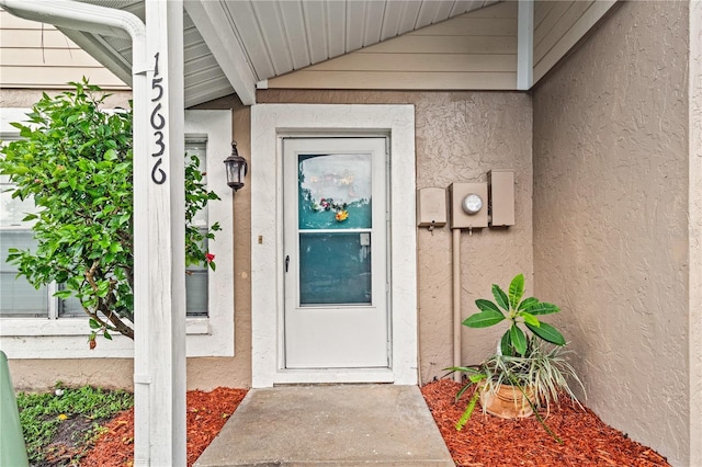 15636 Morning Dr, Lutz, FL 33559 - view of exterior entry featuring stucco siding
