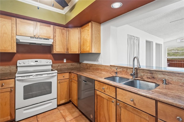 15636 Morning Dr, Lutz, FL 33559 - kitchen with under cabinet range hood, white electric stove, dishwasher, light tile patterned floors, and ornamental molding