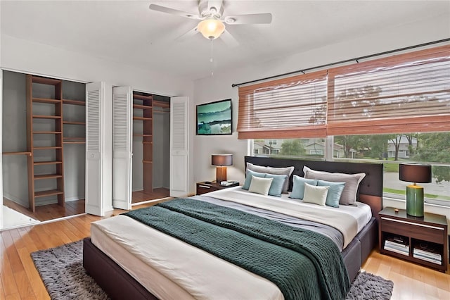 15636 Morning Dr, Lutz, FL 33559 - bedroom with multiple windows, hardwood / wood-style flooring, and two closets