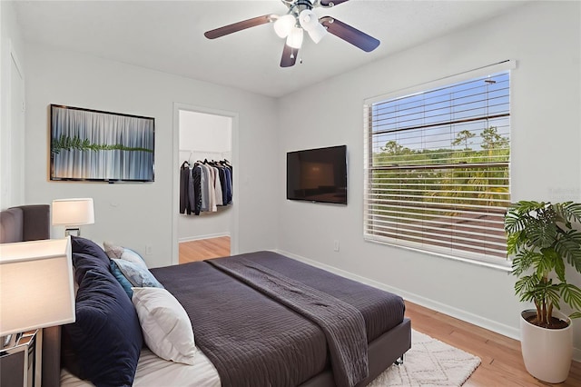 15636 Morning Dr, Lutz, FL 33559 - bedroom featuring light wood finished floors, a ceiling fan, and a walk in closet