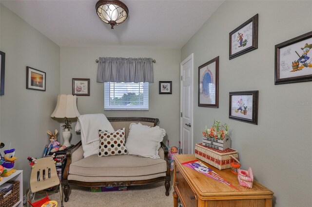 13728 Artesa Bell Dr, Riverview, FL 33579 - photo 44