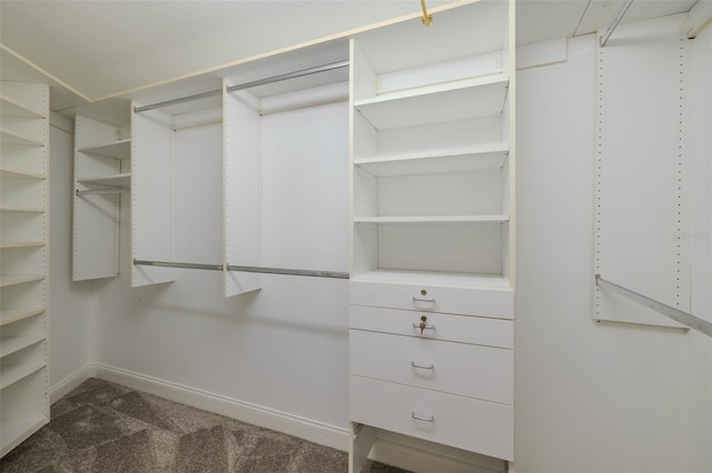 5224 Fairway One Dr, Valrico, FL 33596 - spacious closet with dark colored carpet