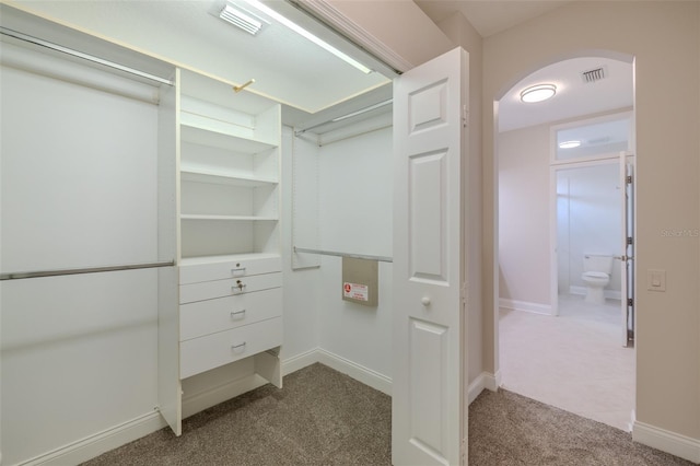 5224 Fairway One Dr, Valrico, FL 33596 - walk in closet featuring dark carpet and arched walkways