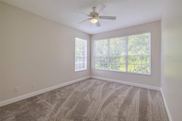 5224 Fairway One Dr, Valrico, FL 33596 - carpeted spare room featuring plenty of natural light and a ceiling fan
