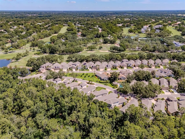 5224 Fairway One Dr, Valrico, FL 33596 - aerial view of residential area with a nearby body of water