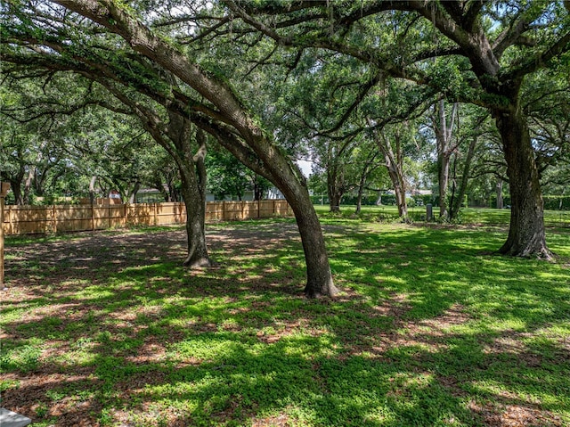 7427 20th St, Zephyrhills, FL 33540 - view of yard