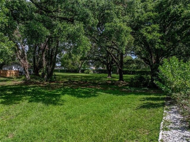 7427 20th St, Zephyrhills, FL 33540 - view of green lawn