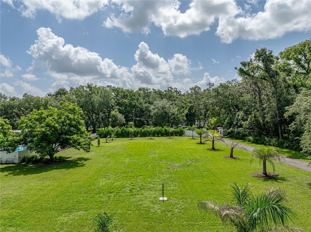 7427 20th St, Zephyrhills, FL 33540 - view of grassy yard