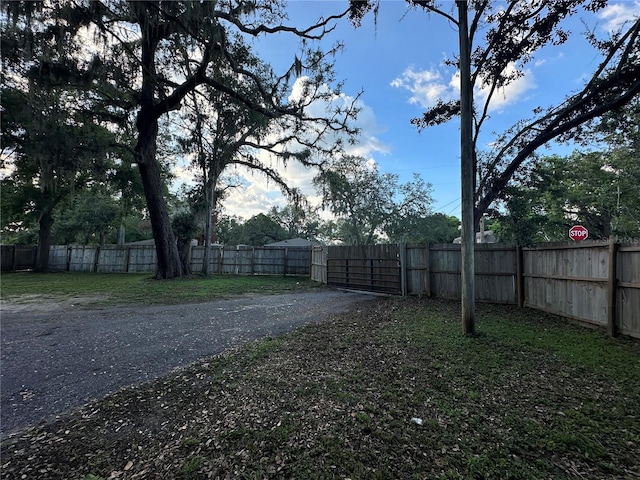 12009 Washington St, Seffner, FL 33584 - view of road